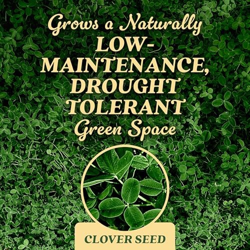 O.M. Scott and Sons Seed – Lawn Seed Grows a Naturally Low 1 Pack Clover