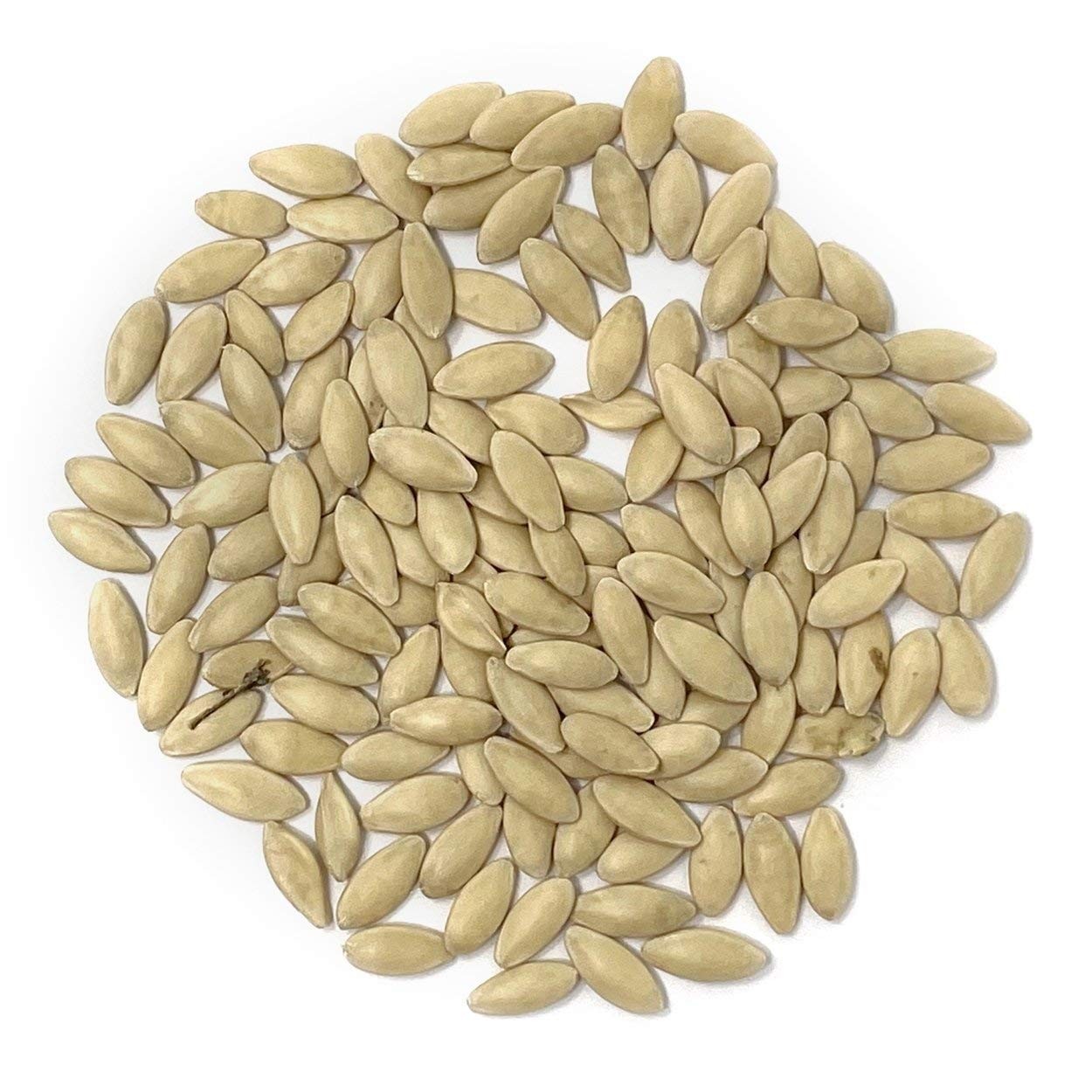 Organic Cucumber Seeds (Marketmore 76) – Approx 100 – USDA Green