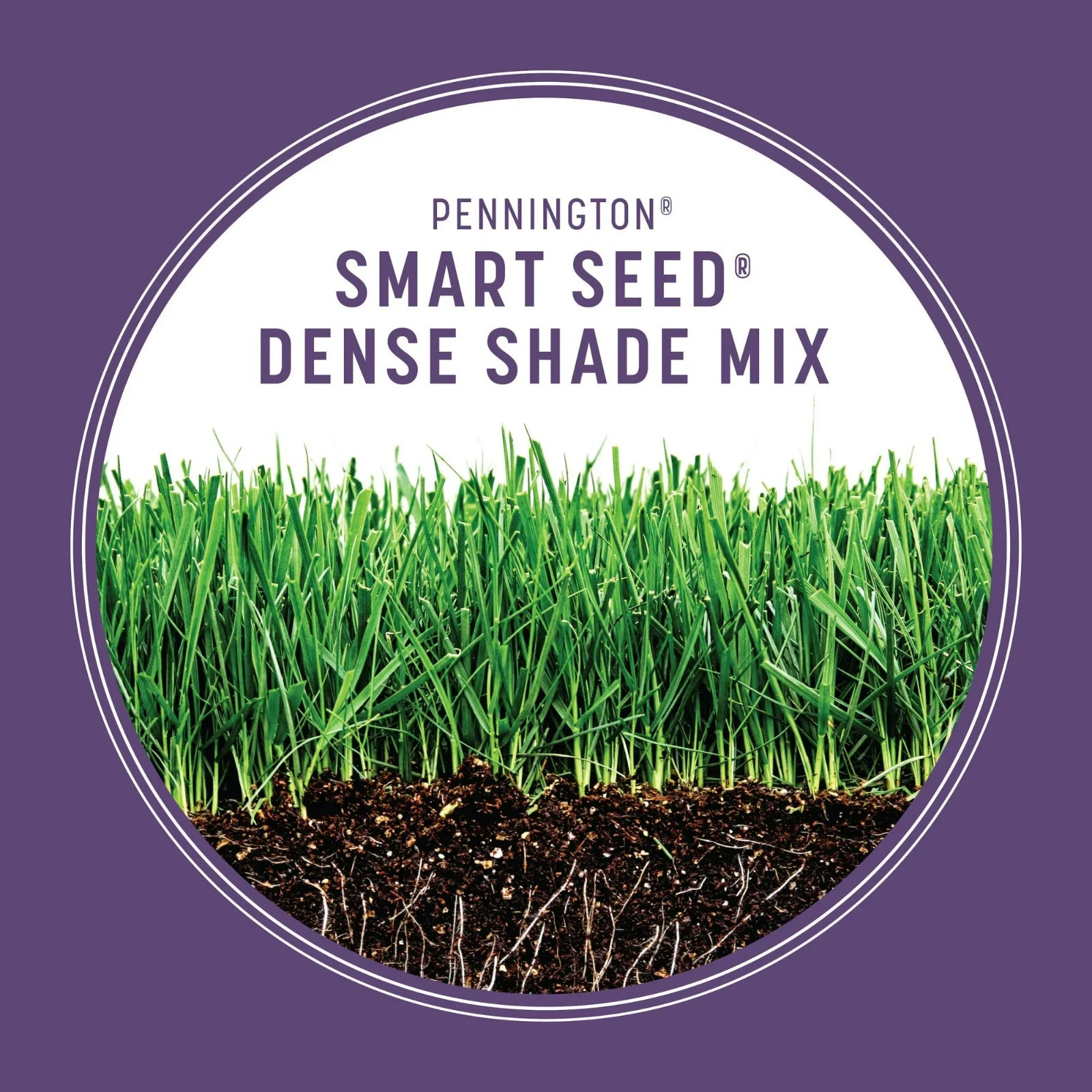 Pennington Smart Seed Dense Shade Grass Mix Fescue Lawn Seed Partial Shade 7 lb