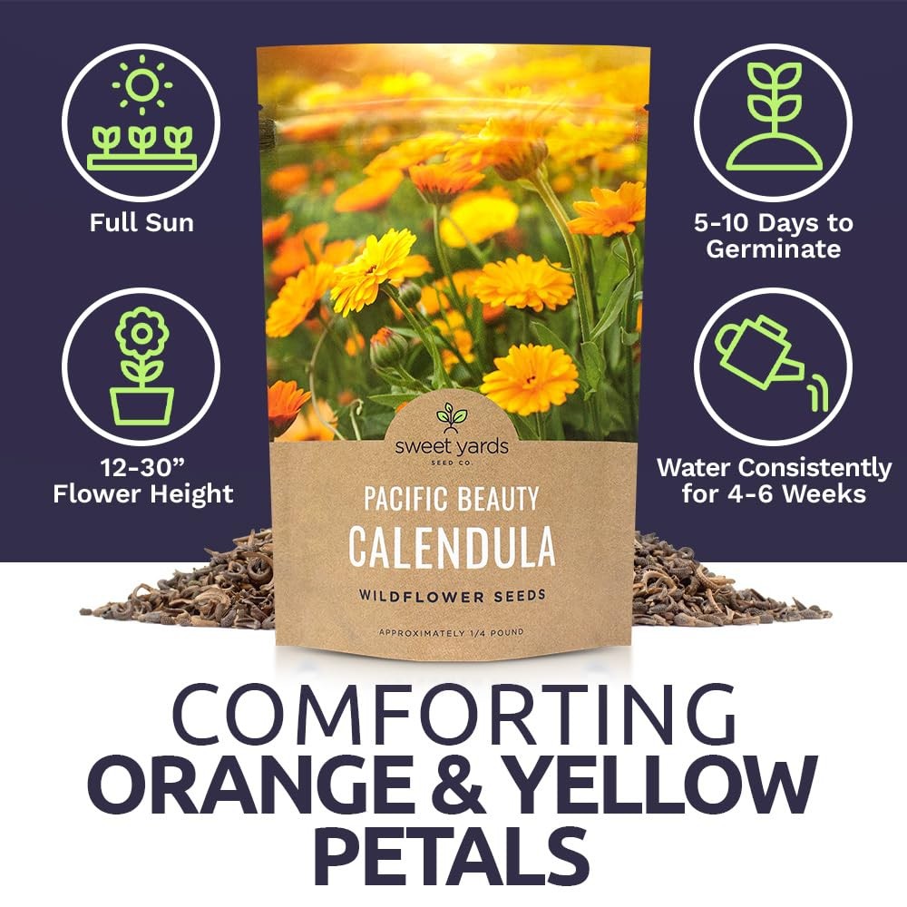 Calendula ‘Pacific Beauty Mix’ – Bulk Quarter Pound Bag – Over 12000 Open Pol…