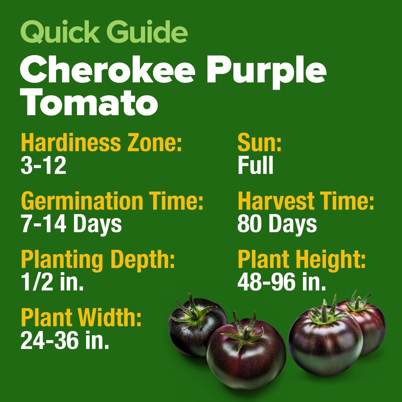 Cherokee Purple Tomato Seeds 2 Pack Solanum lycopersicum 212 Seeds, Tomato f…