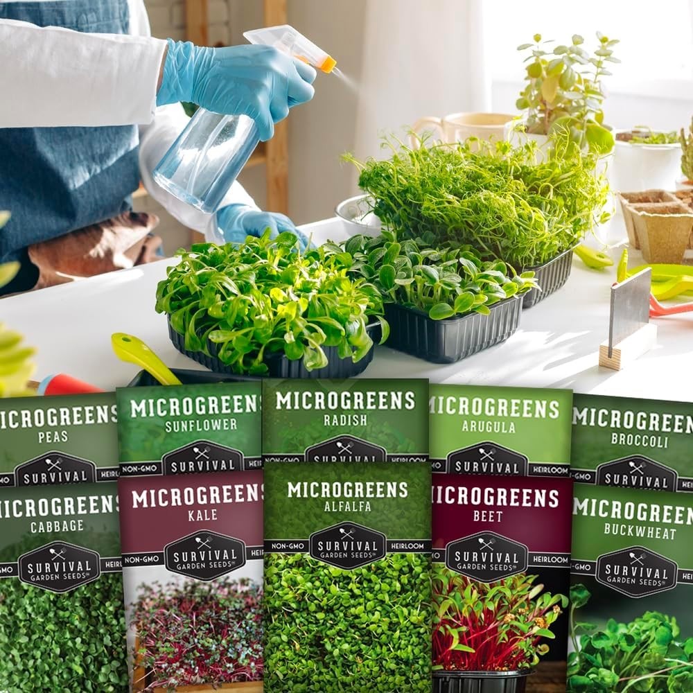 Microgreen Seeds Variety Pack 10 Heirloom Types Non-GMO for Indoor Gardening