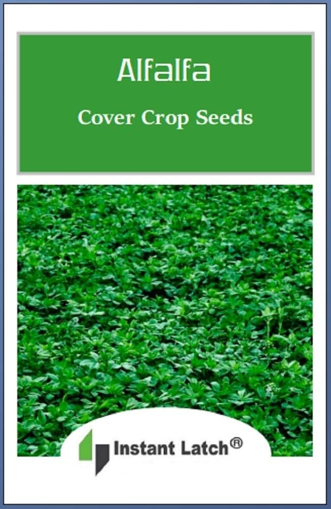 500 Alfalfa Cover Crop Seeds for Planting Non GMO Heirloom Seeds Fresh Garden…