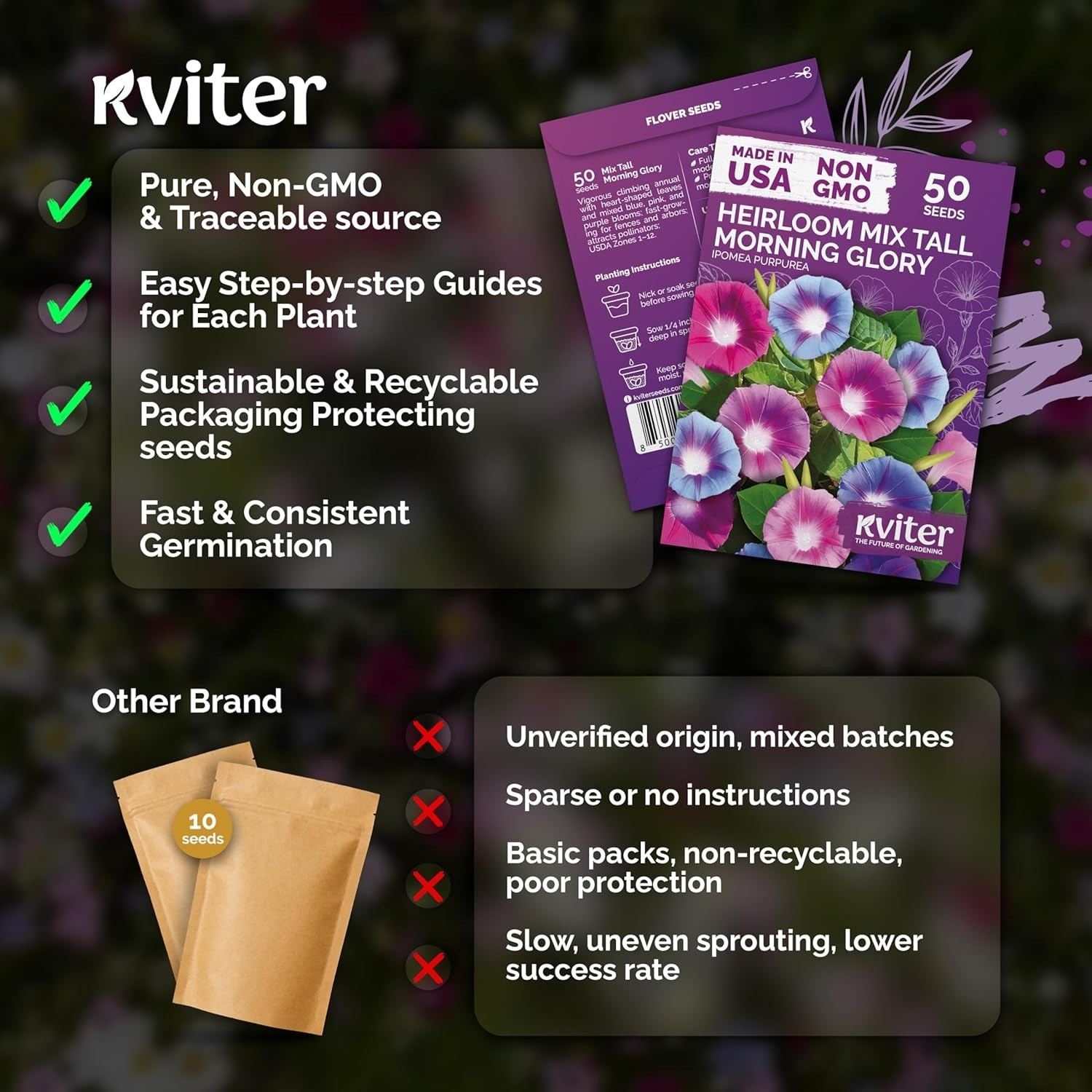 Organic 50 Count Morning Glory Seeds – Climbing Vines for Pollinator Gardens