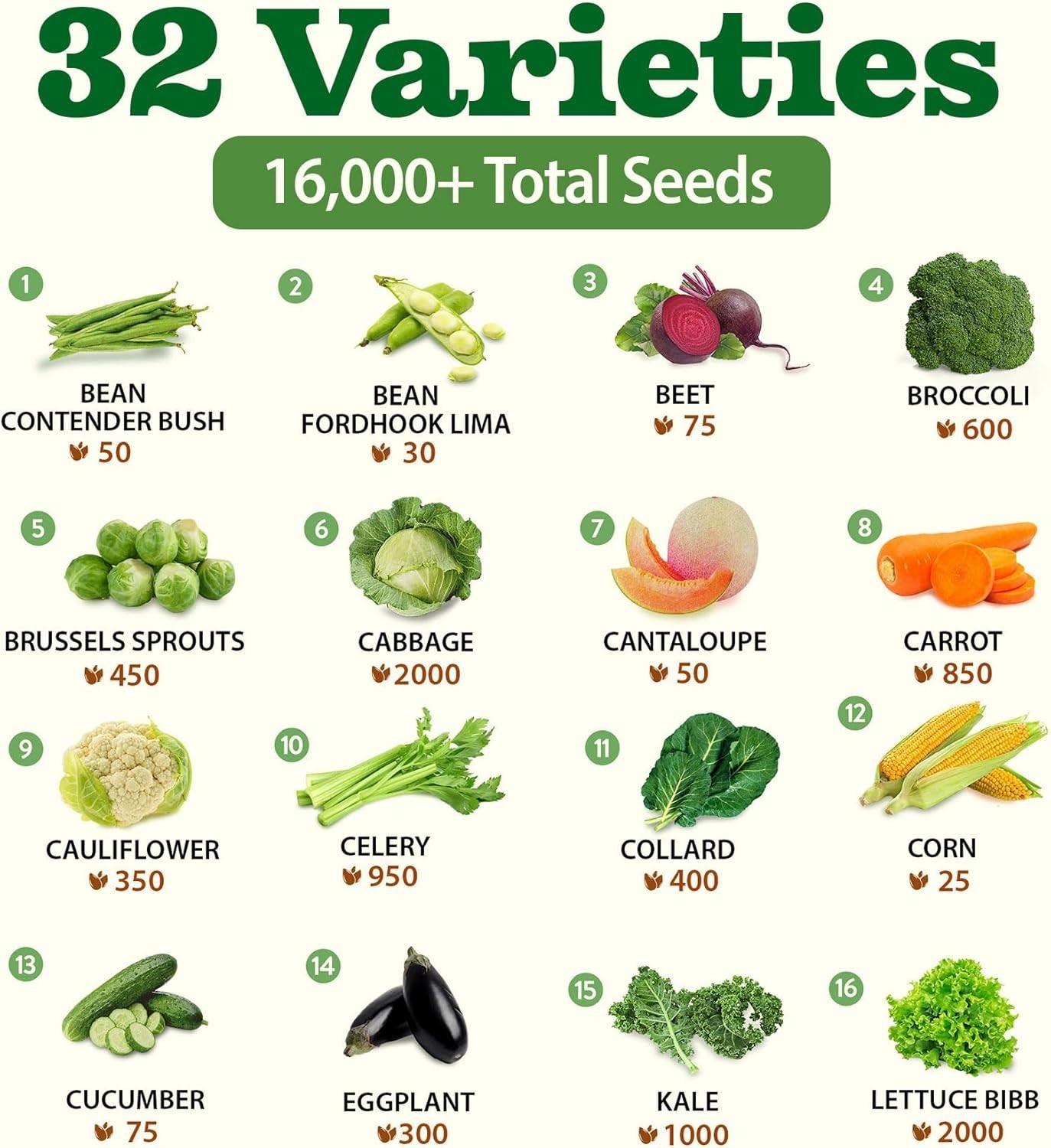 Non-GMO Heirloom Seed Vault: 32 Varieties with 16,000 High Germination Seeds