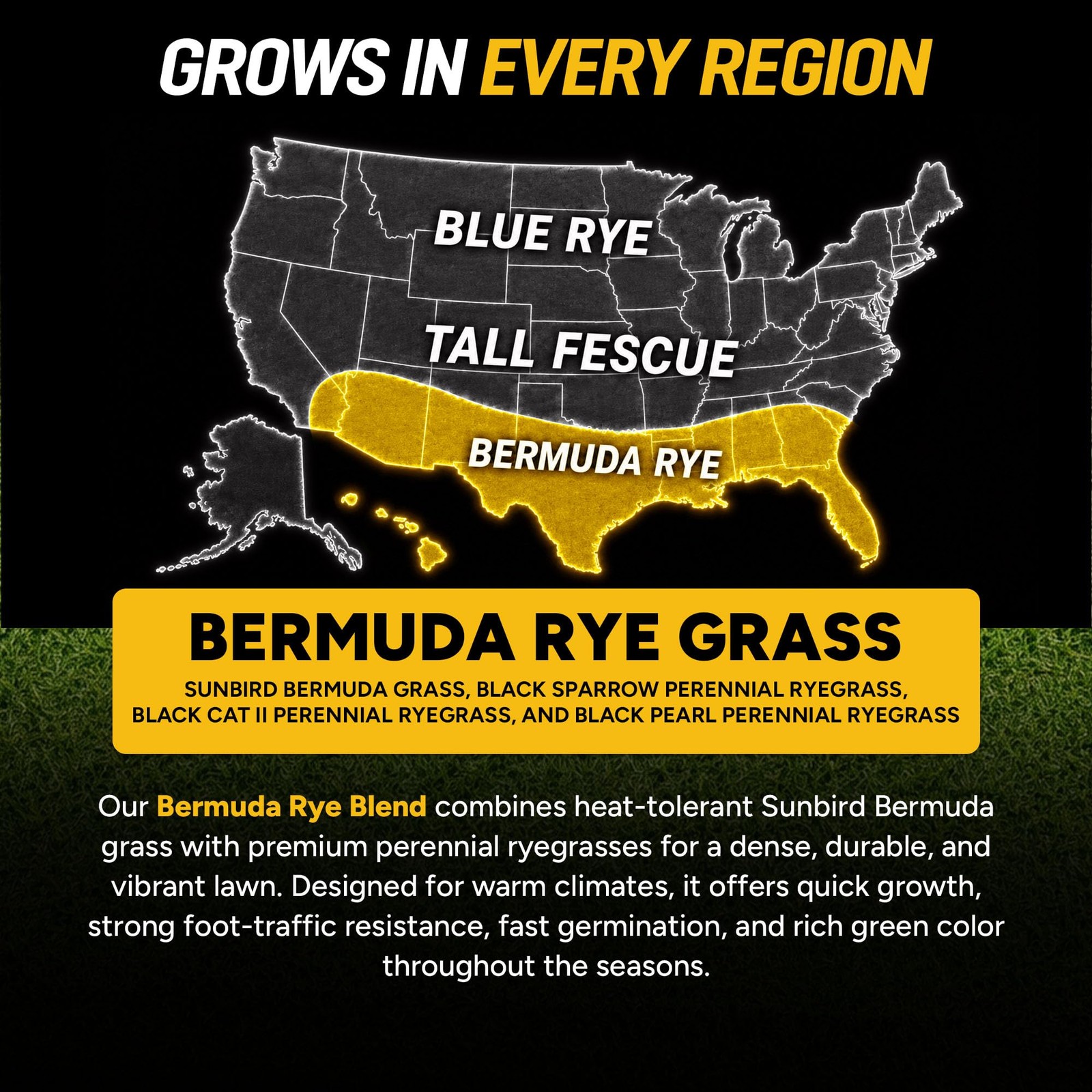 Growtrax Biodegradable Grass Seed – 100 SQFT Bermuda Rye – Grass Seed and Fer…