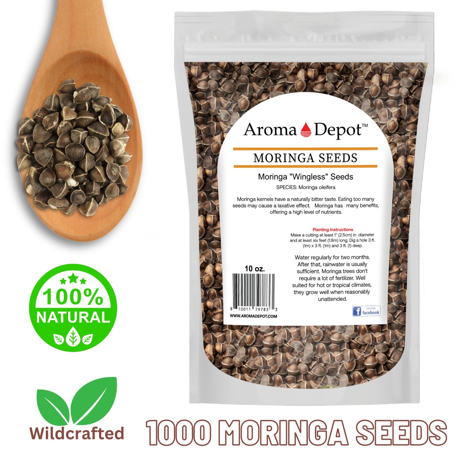 Moringa Seeds 10 oz. Wingless 1000 Semilla de Moringa Oleifera Pepas Malunggay