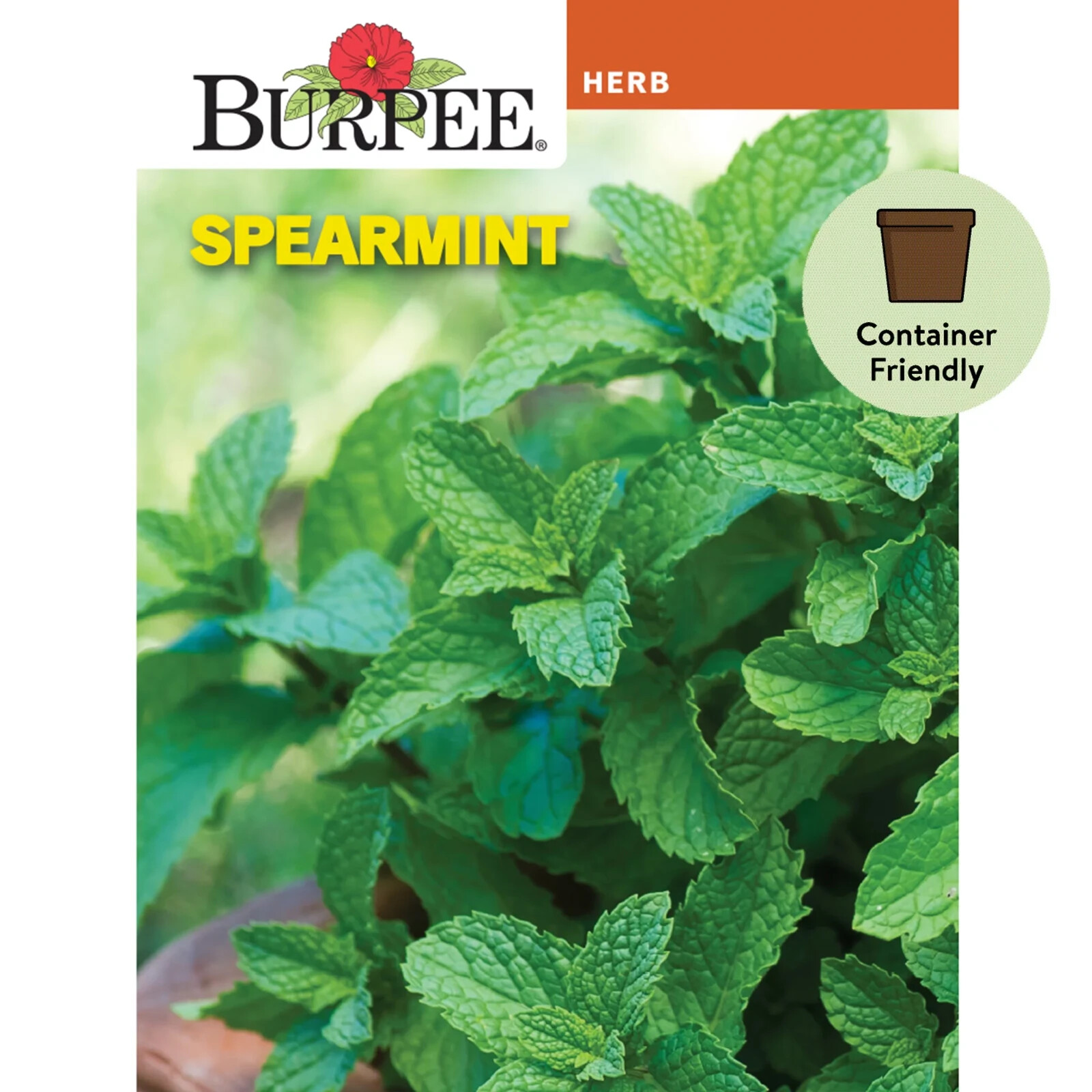 Burpee Common Spearmint Herb Seeds Container Friendly Partial Sun Seed Packet