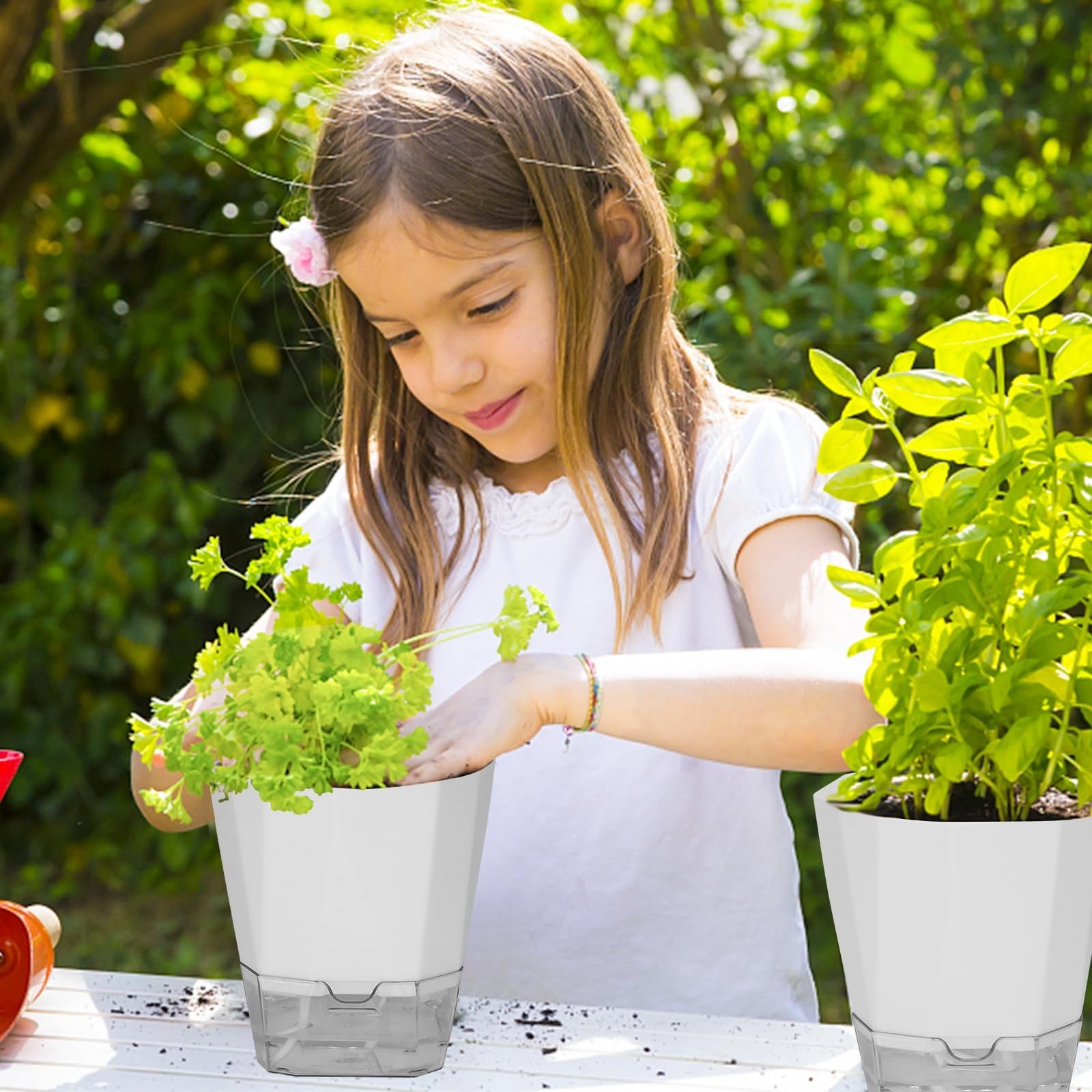 6 Pack Self Watering Plant Pot, 6.6/5 Inch Plastic Self Watering Pots for Ind…