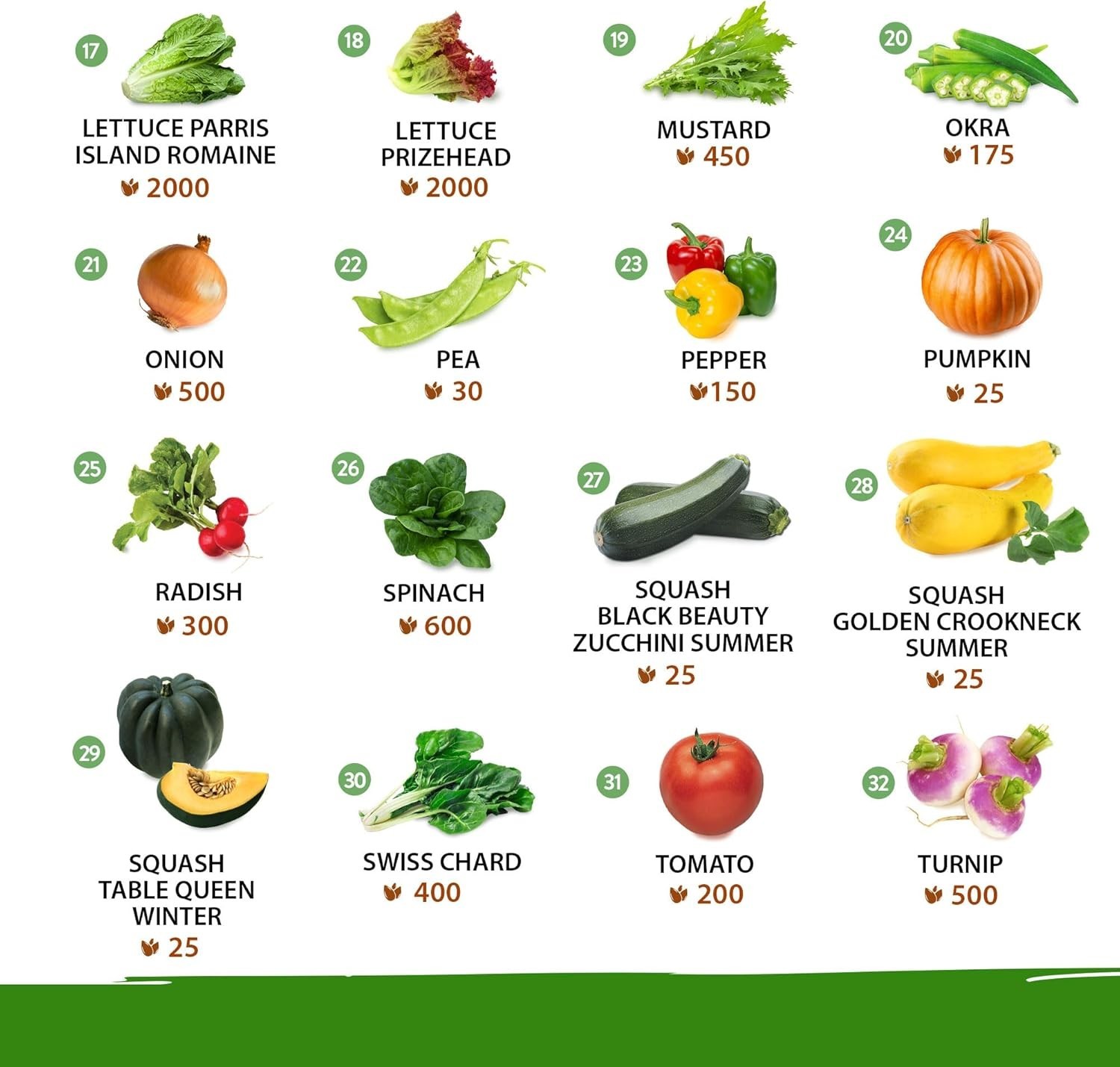 16,000+ Heirloom Vegetable Seeds with High Germination Rate – USA Made