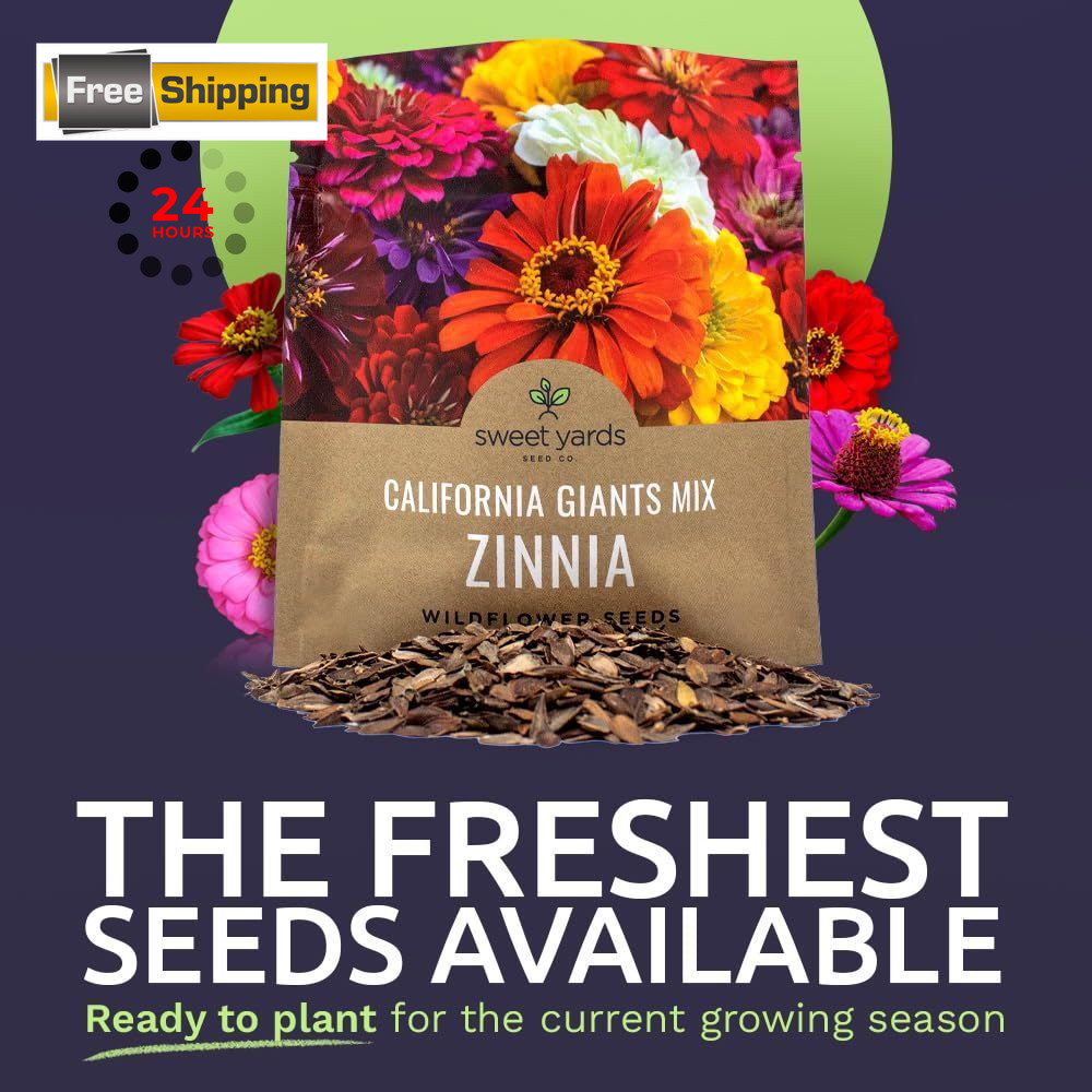 Zinnia Seeds – California Giants Mix – Large 1 1 Ounce Pouch, Multiple Colors