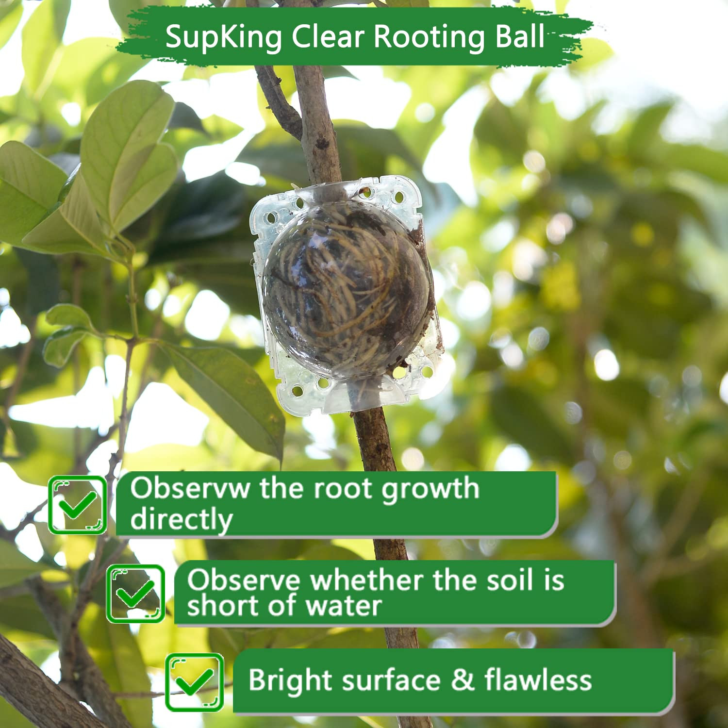 8 Pcs Air Layering Pods Plant Rooting Grow Propagation Ball Small Transparent As