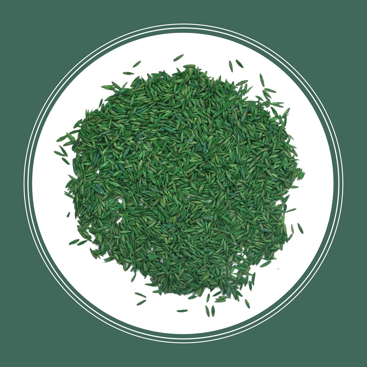 Semilla De Pasto De Crecimiento Rapido – Semilla De Cesped De Estacion 7 lb