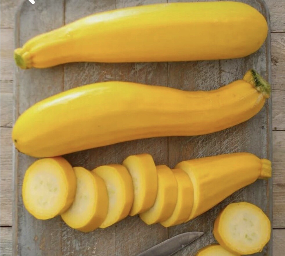 30 Plus Golden Zucchini Summer Squash Seeds-NON GMO- Open Pollinated