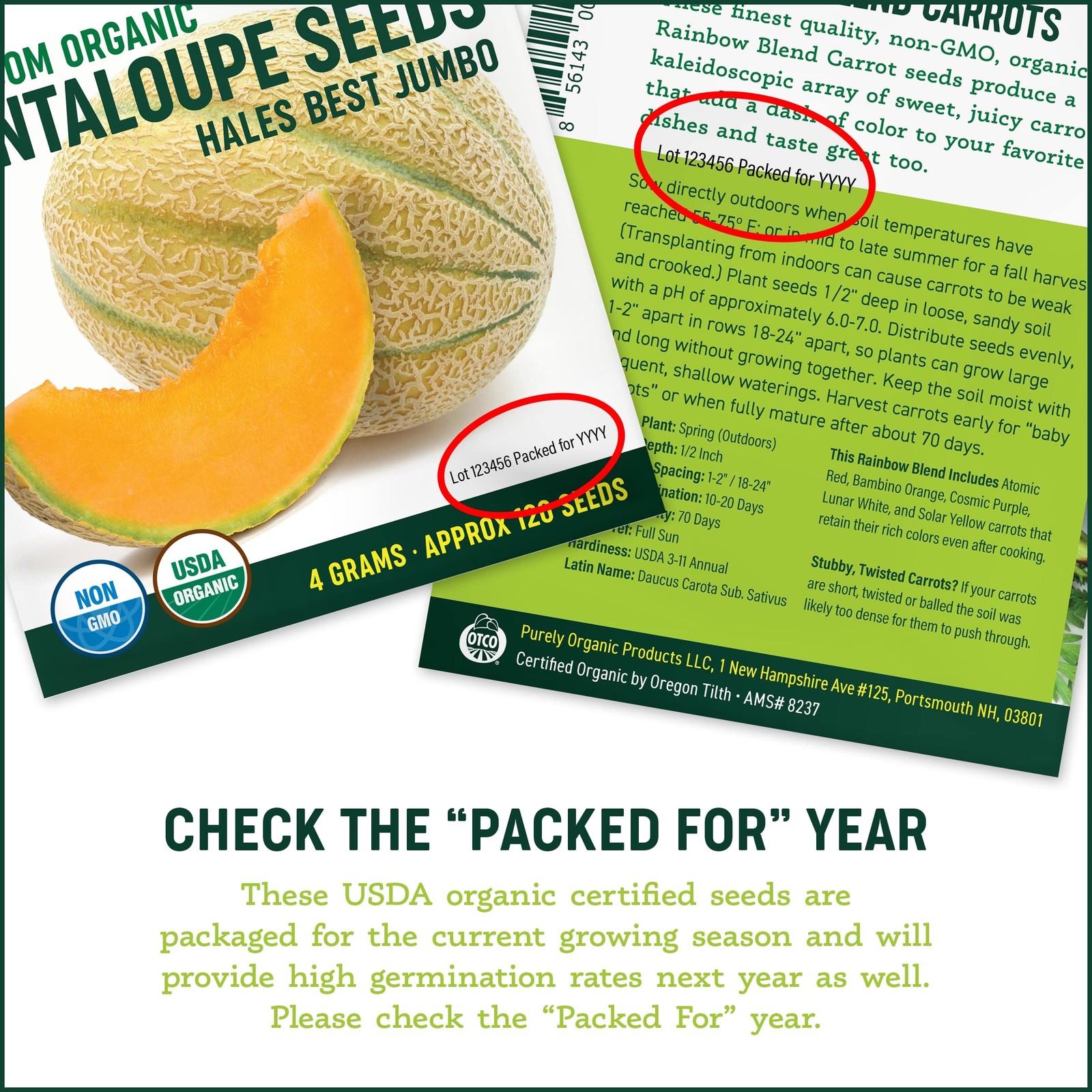 Organic Cucumber Seeds (Marketmore 76) – Approx 100 – USDA Green