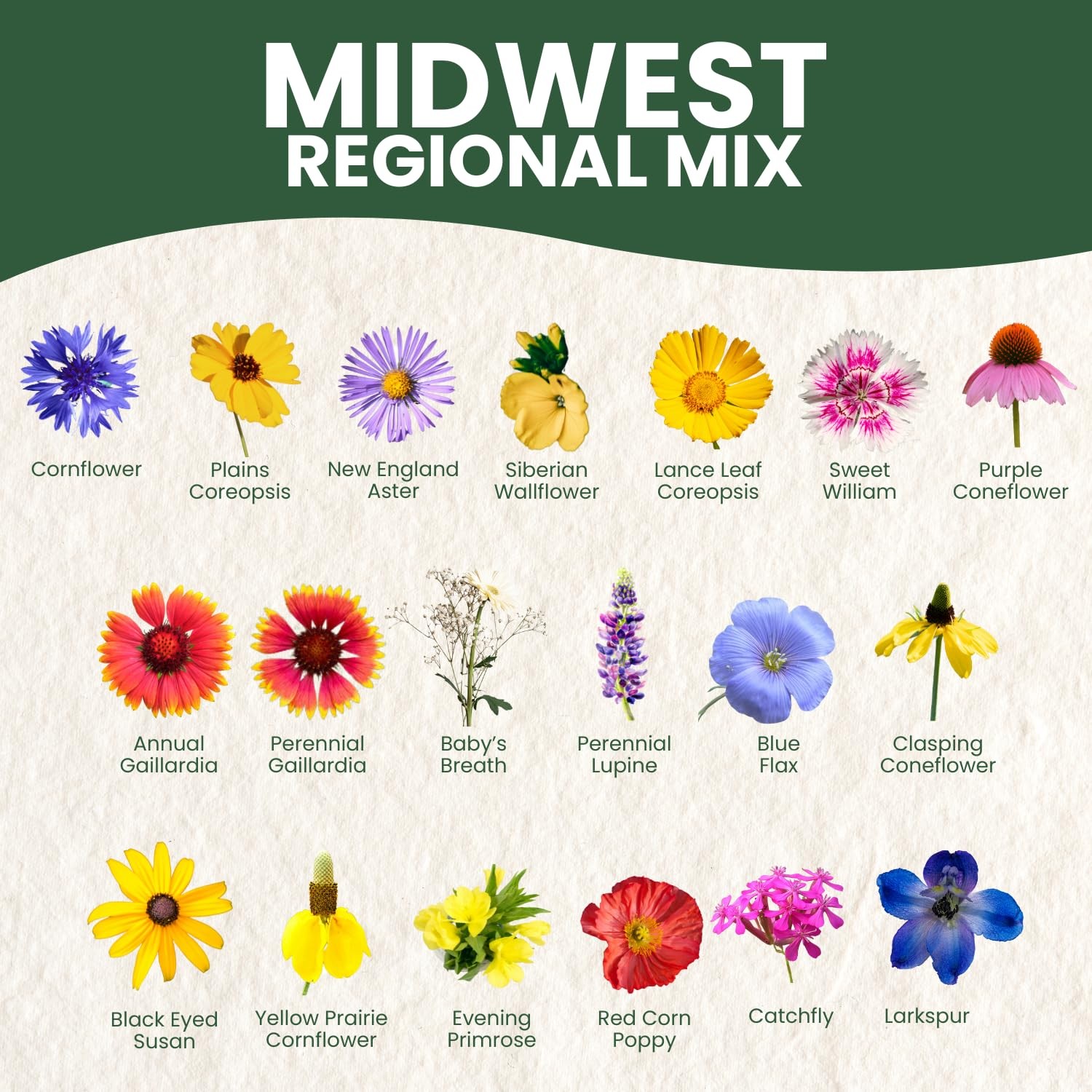 Family Sown Midwest Regional Mix 56000 Seeds For Planting 2026 Season 4 Ounce