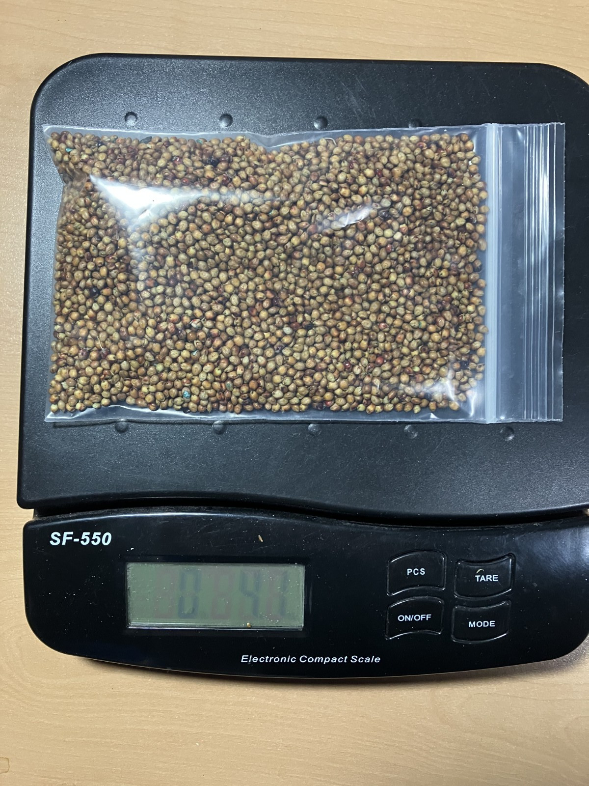 Sweet Sugar Drip Sorghum Seeds 4 Ounce Bag 5,000 Seeds