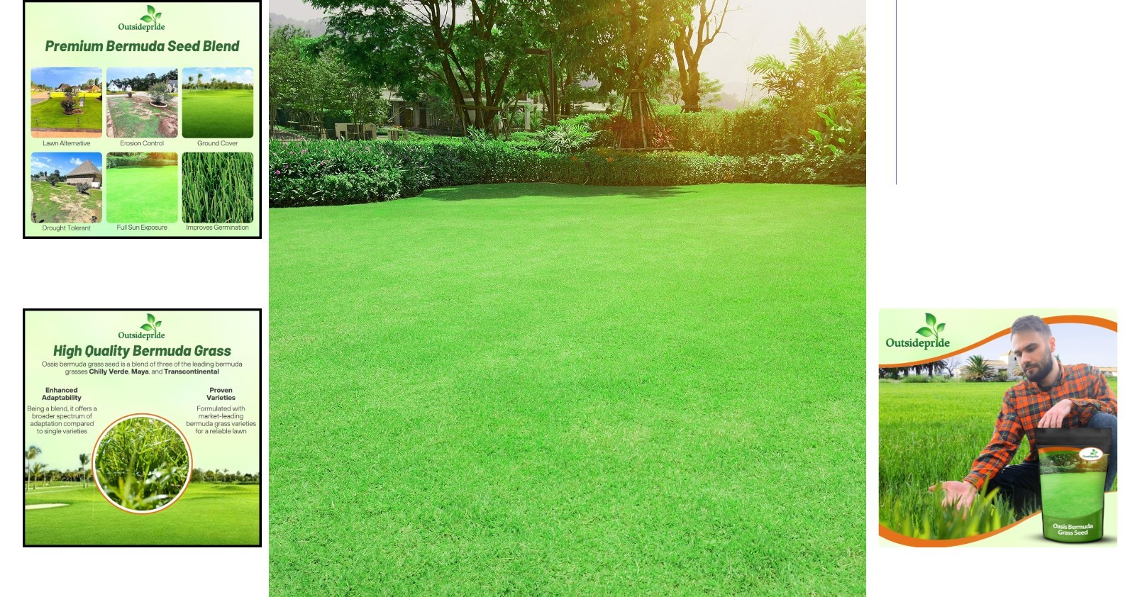 5 lbs Oasis Bermuda Grass Seed – Ideal for High Traffic & Sunny Areas