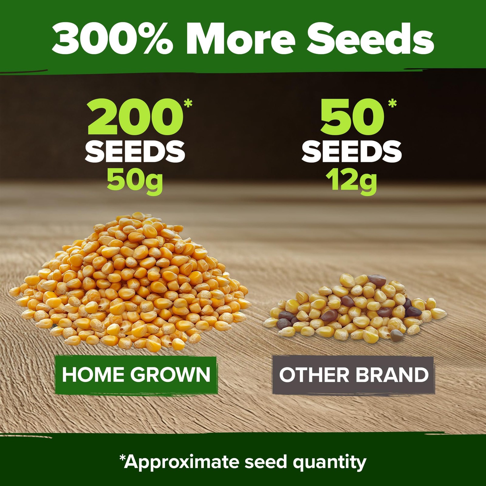 HOME GROWN Golden Bantam Sweet Corn Seeds 200+ 2-Pack, Light Brown to Tan