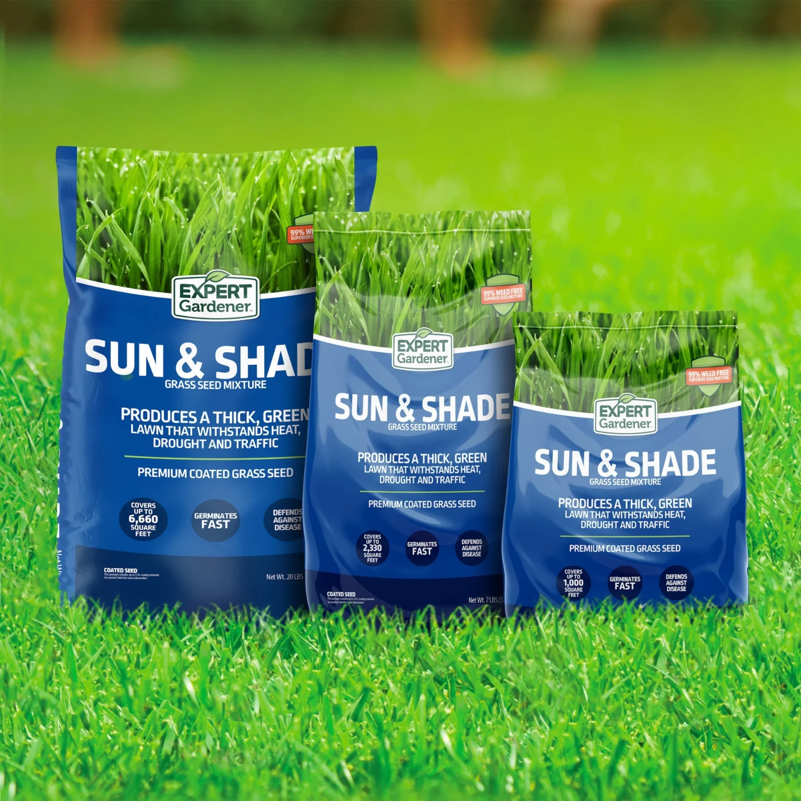 Expert Gardener Sun & Shade Northern Grass Seed Mix Sun to Partial Shade 20 lb