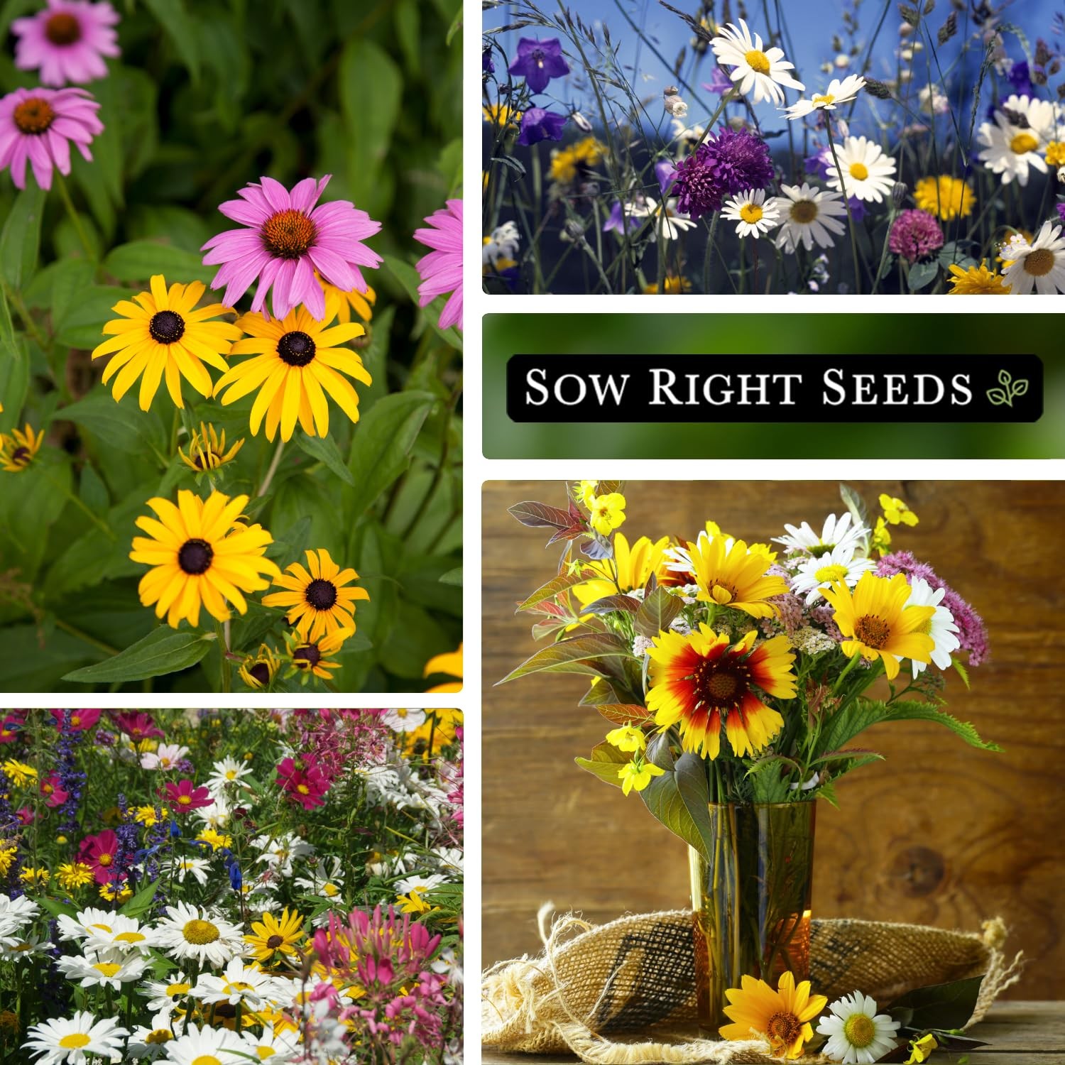 Sow Right Seeds – Wildflowers Mix for Planting in Midwest – Non-GMO mix
