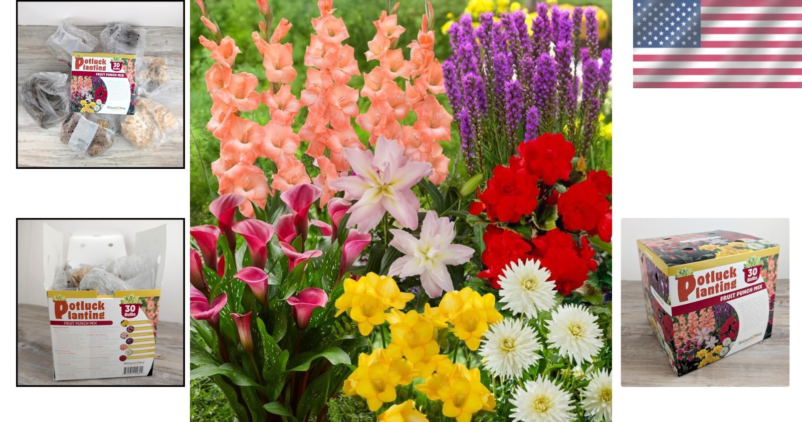 Vibrant Garden Mix – Easy-to-Plant Flowers – Fragrant Blooms