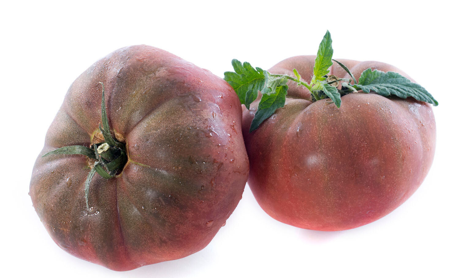 50+ Organic Black Krim Tomato Seeds Large Beefsteak Rare Russian Heirloom USA