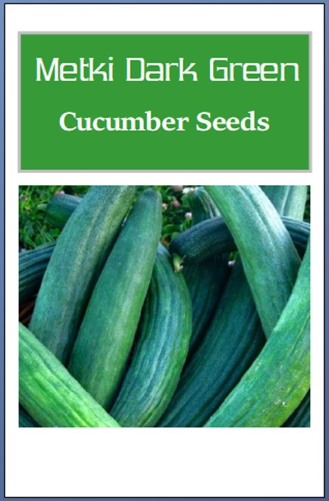Metki Dark Green Armenian Cucumber Seeds | NON-GMO | Heirloom Fresh Garden Seeds