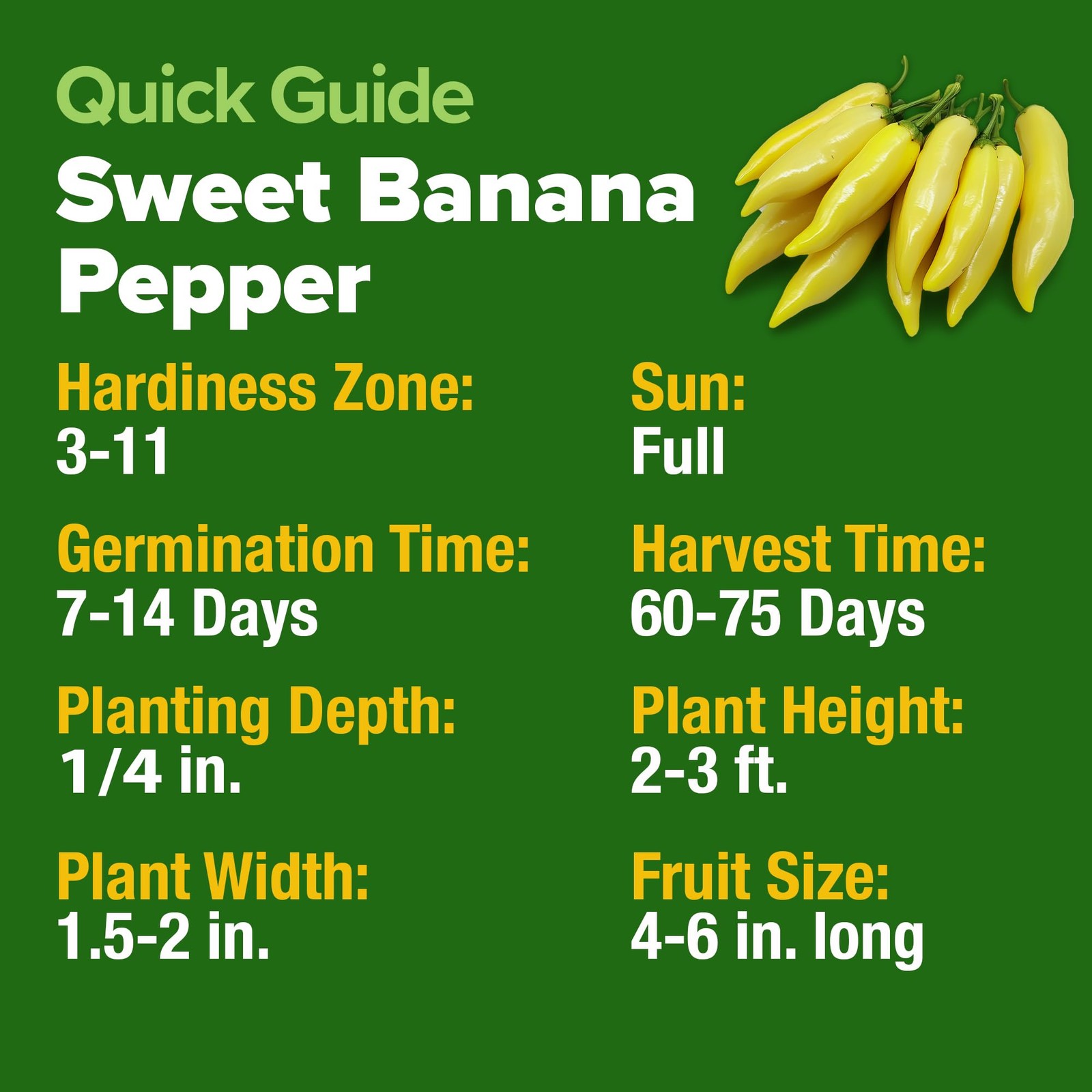 Banana Pepper Seeds 94+ Heirloom Non GMO Seeds for Planting, High Germination…