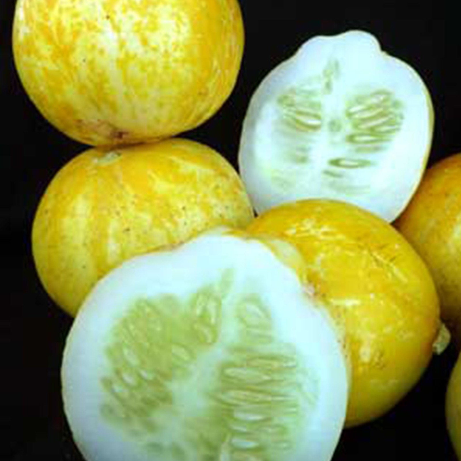 Lemon cucumber, Cucumis sativus You will get 30 Seeds Free Shipping!