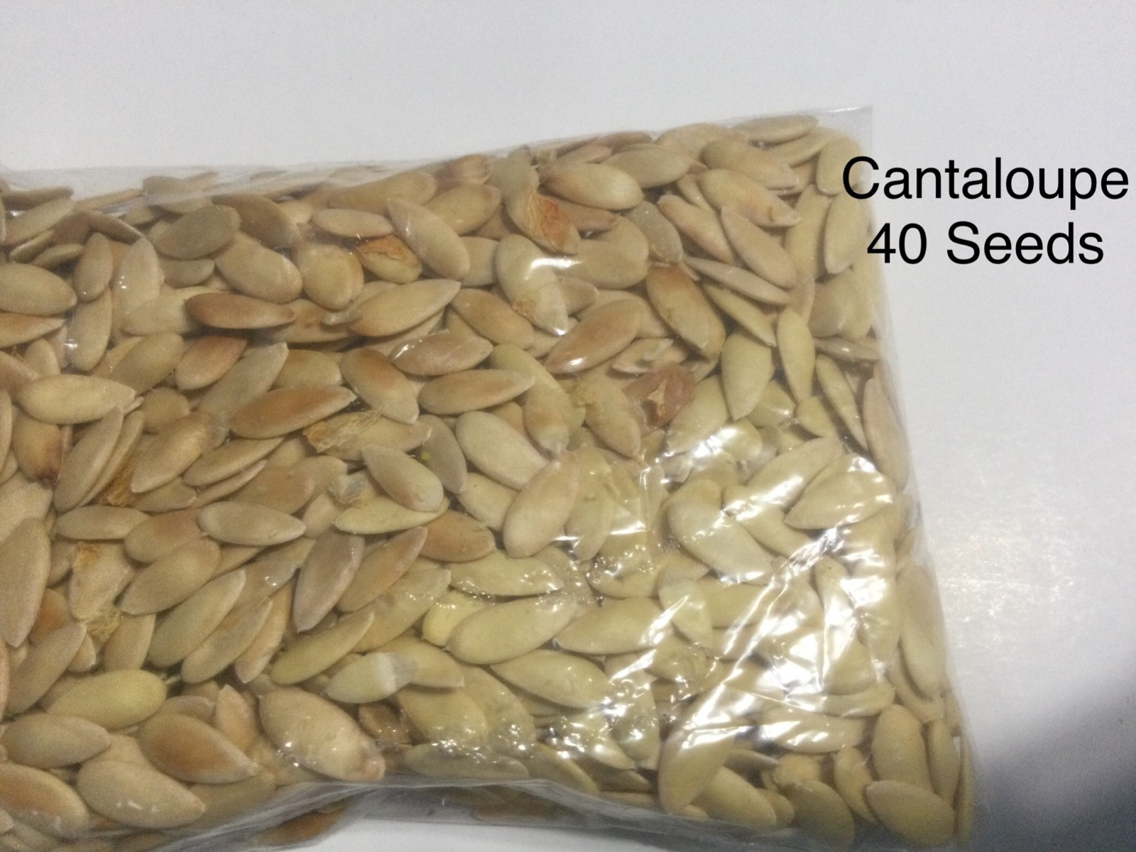Seeds(Organic) All type, Please See Description