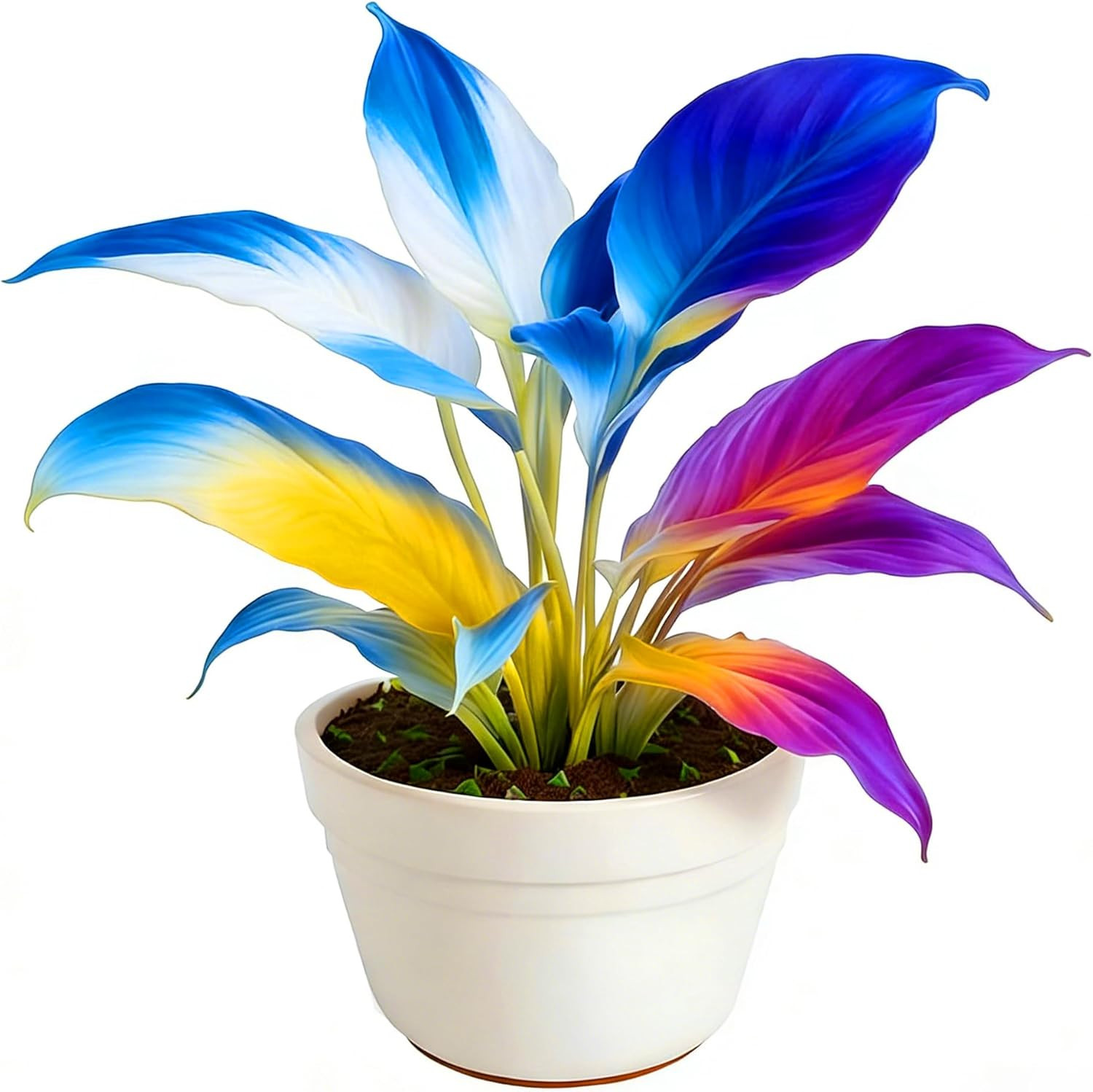 Hosta Seeds for Planting, 310+Pcs Rare Perennial Hosta Flower Seeds Plants, Non-
