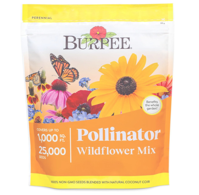 Wildflower 25,000 Bulk, 1 Bag, 18 Varieties of Non-Gmo Flower Seeds Pollinator G