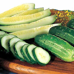 Cucumber Homemade Pickles 250 seeds