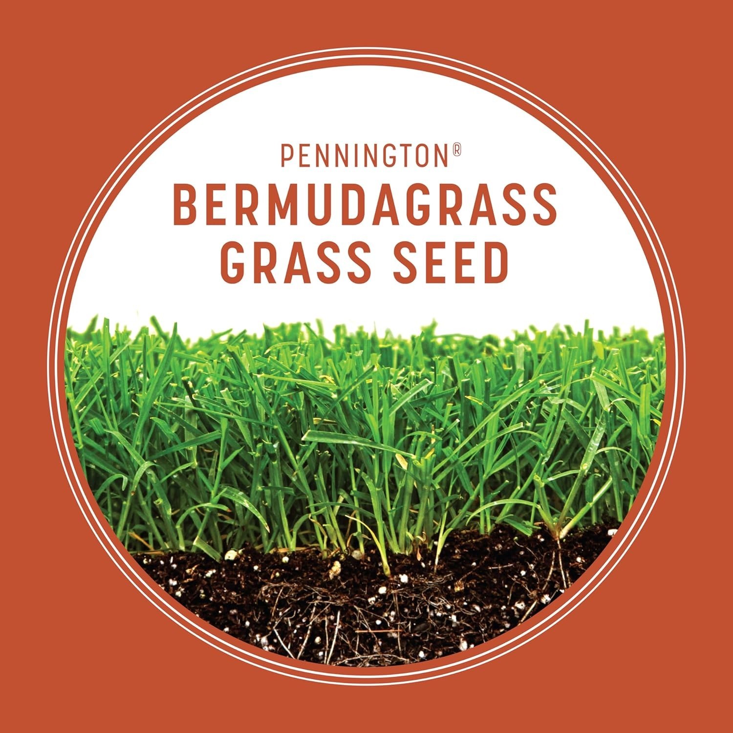 Bermudagrass Grass Seed, 5 lb – Low-Maintenance Lawn for Southern Outdoors