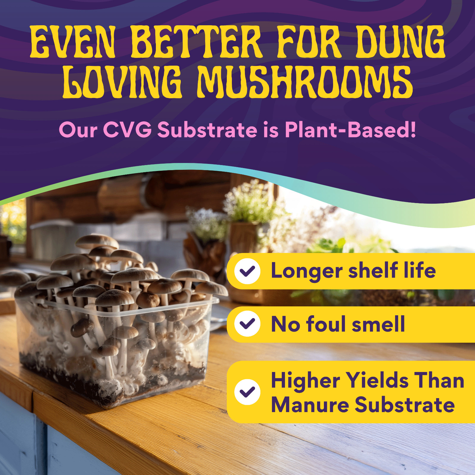 8 LB Monotub Refill Kit | Incl: 3 LB Sterilized Milo Grain Spawn & 5 LB CVG Sub
