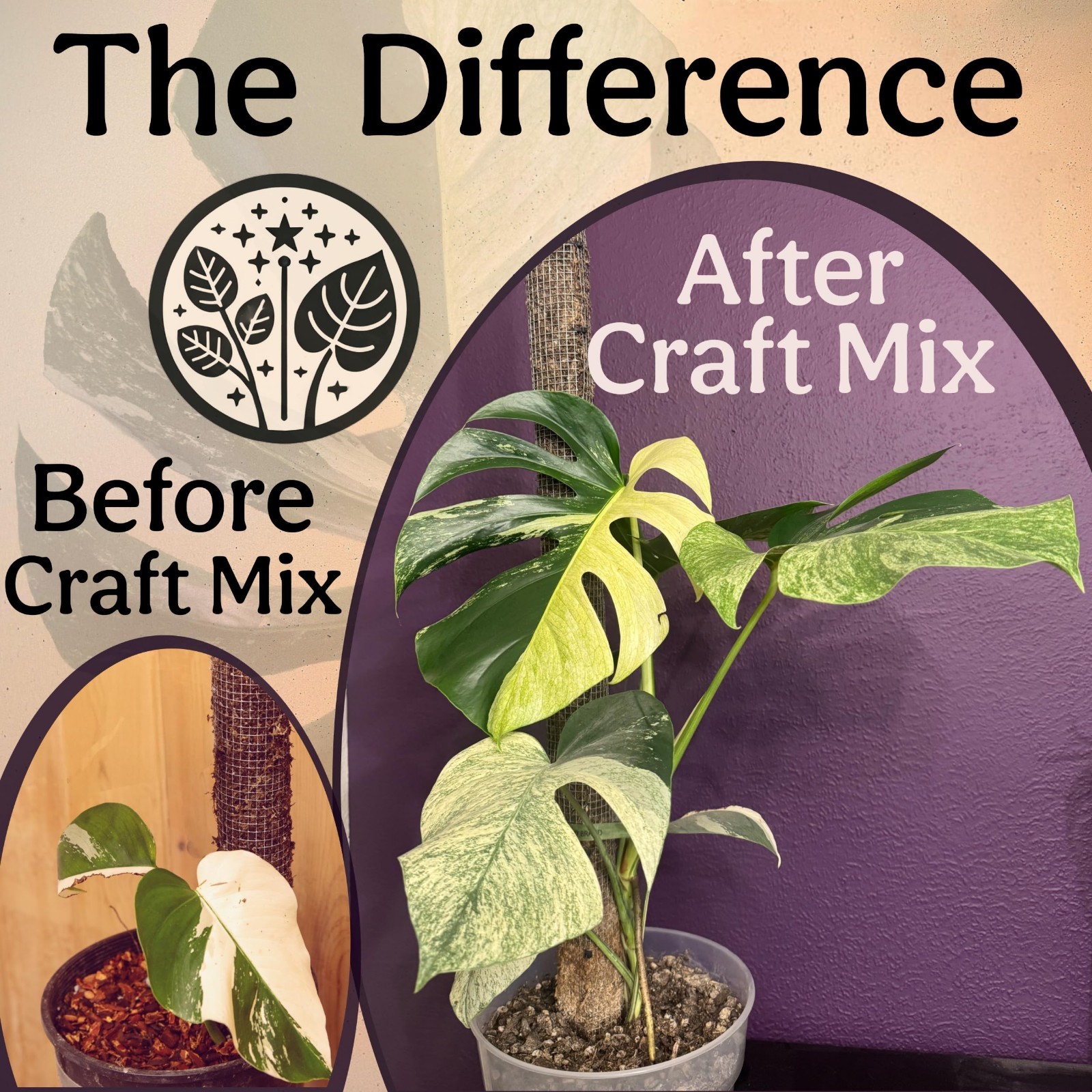Organic Potting Mix for Indoor Plants – Well Draining Soil for Alocasia, Philode
