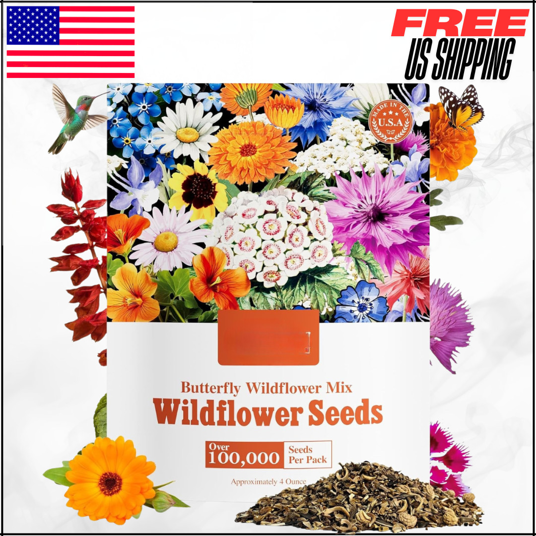 All Perennial Wildflower Seeds Bulk Mix W/ Milkweed Pollinators Zones 3-10 1/4LB