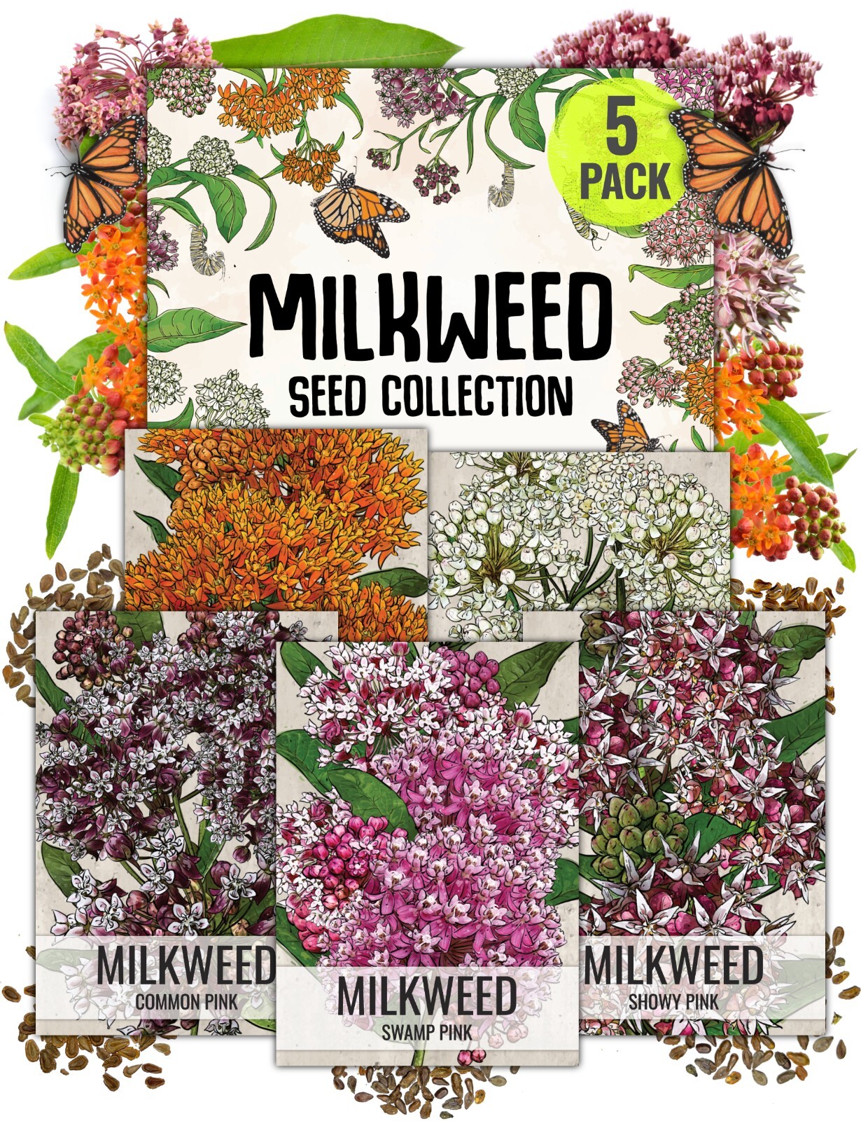 Milkweed Seed Packet Collection by Seed Needs – 5 Individual Asclepias Packets