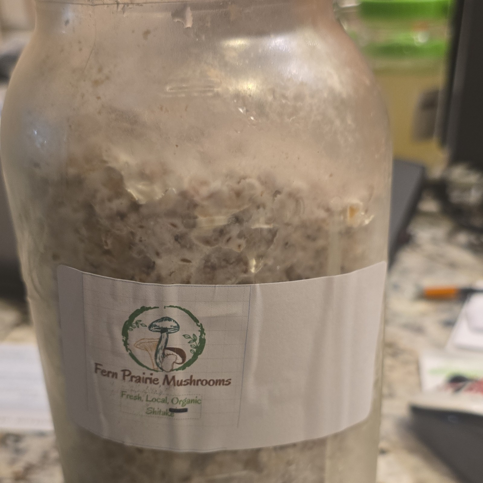 Fern Prairie Mushrooms Shiitake Spawn – White Mycelium Culture in Jar 32 Ounce