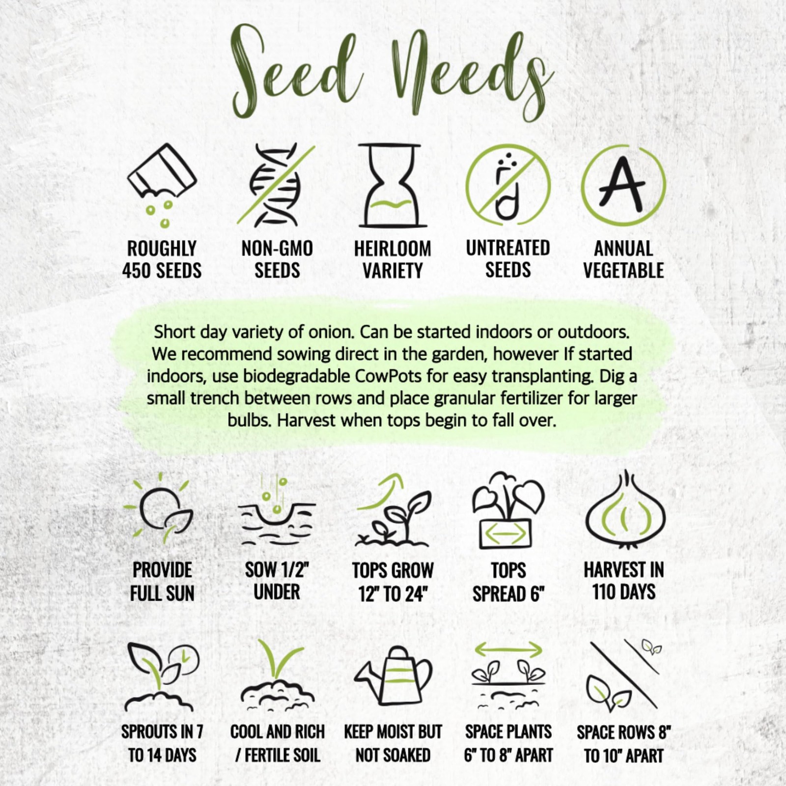 Onion Seeds for Planting Red Burgundy Short Day 1 Pack,