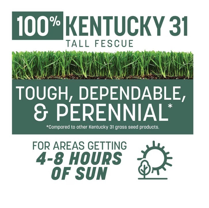 [BIG SALE] Pennington Tall Fescue Kentucky 31 Grass Seed 40 lb