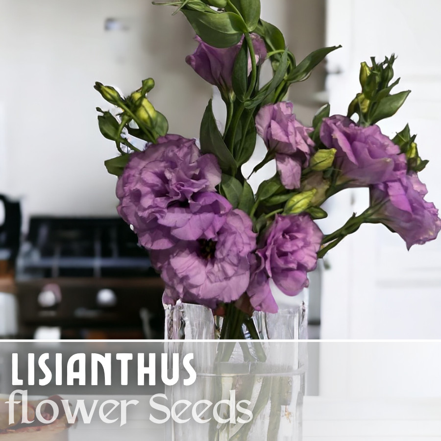 Lisianthus Seeds – 100 Seeds Garden Bloom Flower Seed Flowers Non Gmo Heirloom