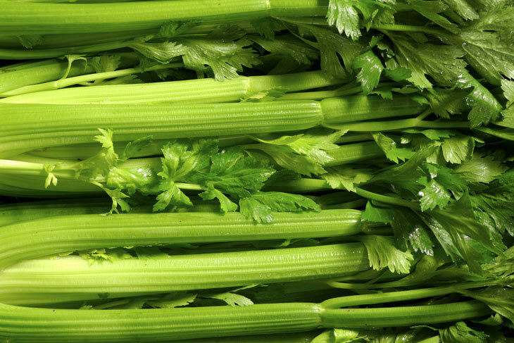 1000+ Tendercrisp Celery Seed, Heirloom NON-GMO Fresh Seeds FAVORITE & FLAVORFUL
