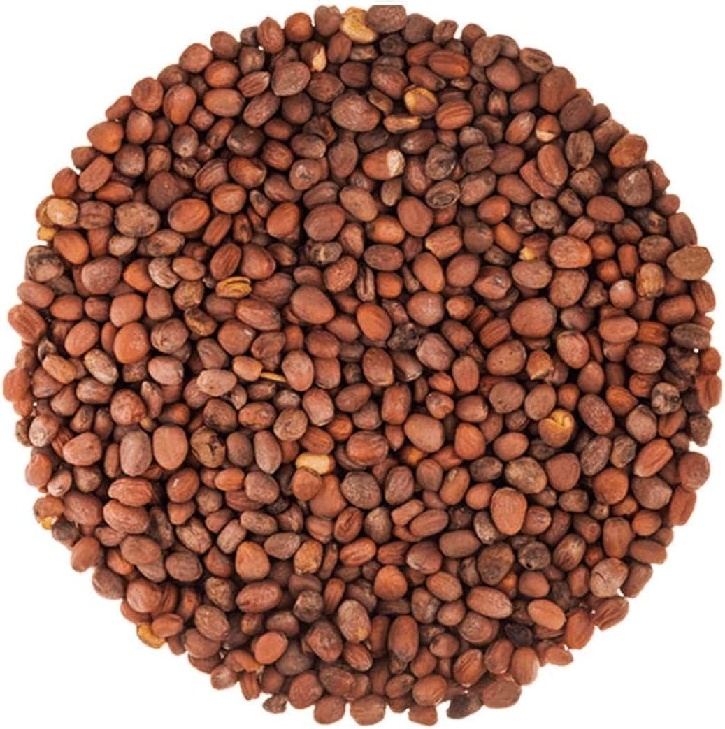 Food To Live Radish Seeds For Sprouting 10 Pounds – Edible Seeds Pure Vegan