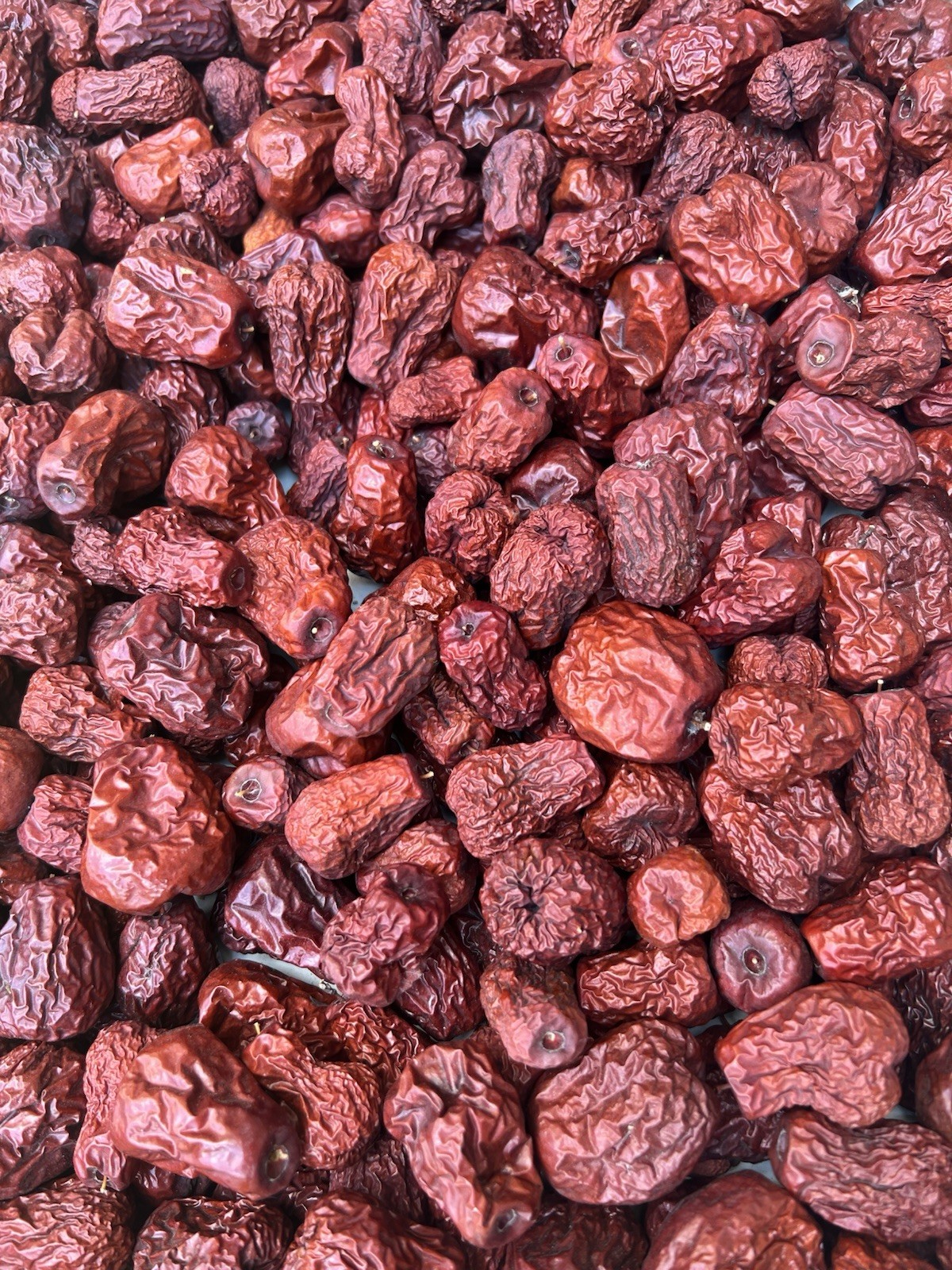 5 Cuttings Jujube Tree Lang Chinese Red Date