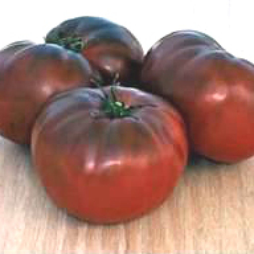 Black Brandywine Tomato, 15 Seeds, BUY 2 GET 1 FREE, FREE SHIPPING