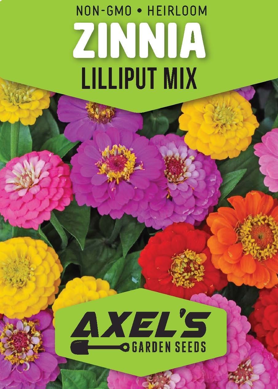 Zinnia Lilliput Flower Bulk Seed Mix | Non-GMO | Heirloom | Fresh Garden Seeds