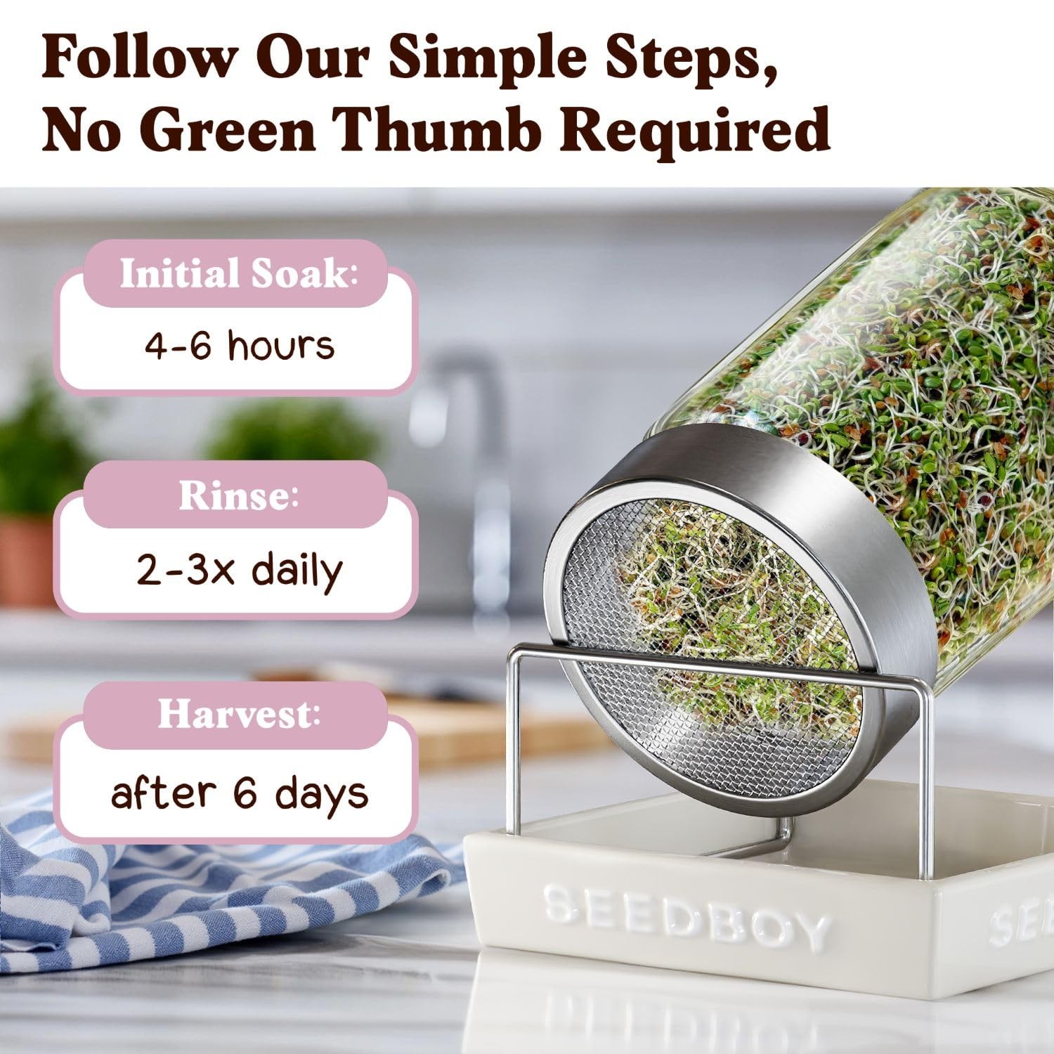 Organic NonGMO Clover Seeds for Sprouting 8 oz Bag, 32 Servings