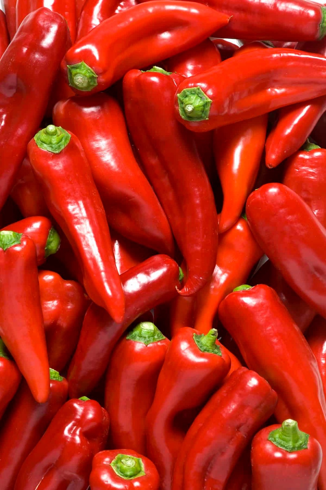 40 SEEDS SWEET PAPRIKA FRESH SEEDS, MAKE YOUR FOOD TASTE GREAT